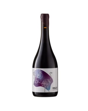 Cabernet Franc