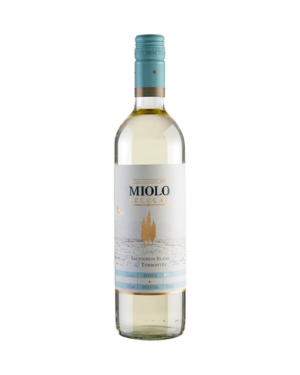 Seleção Sauvignon Blanc / Torrontés